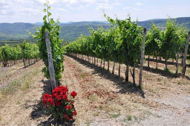 Hotel Borgo Castelvecchi Residenza Depoca Radda in Chianti Exteriér fotografie