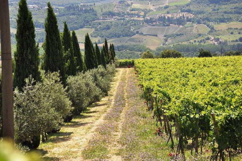 Hotel Borgo Castelvecchi Residenza Depoca Radda in Chianti Exteriér fotografie